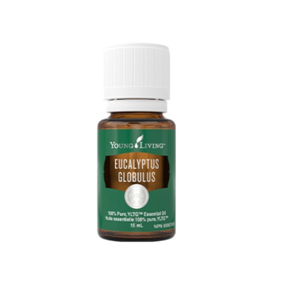Eucalyptus Oil